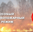 С 28 апреля по 11 мая будет действовать особый противопожарный режим в Ульяновской области - Карсунский район