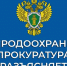 Ульяновская межрайонная природоохранная прокуратура разъясняет.. - Карсунский район